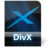  DivX的档案 DivX File